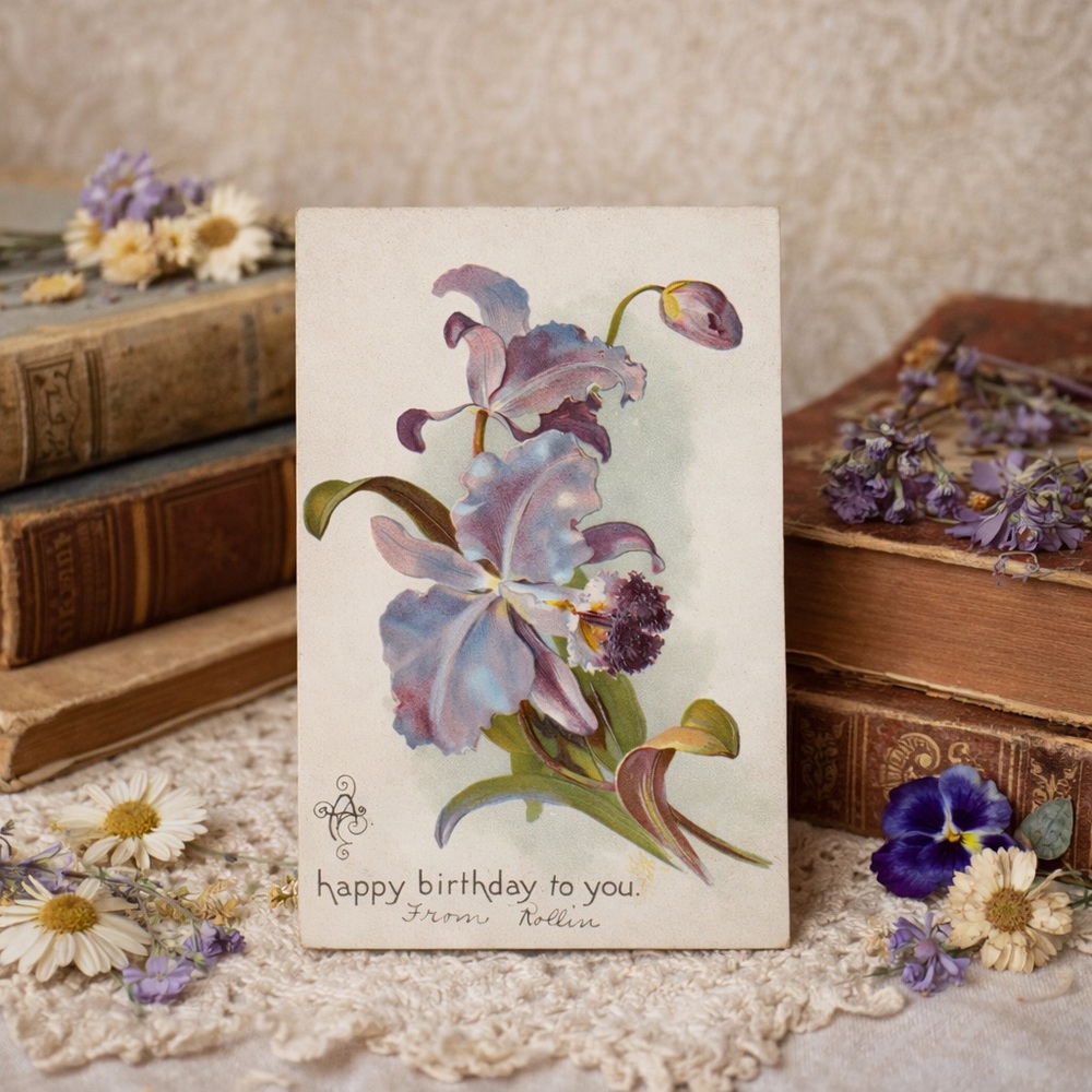 Raphael Tuck Embossed Birthday Postcard Orchid Happy Birthday Antique 1900s
